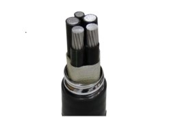 China ACWU90 Cable Manufacturer: Put the Installation Route Beside the Cable Quote